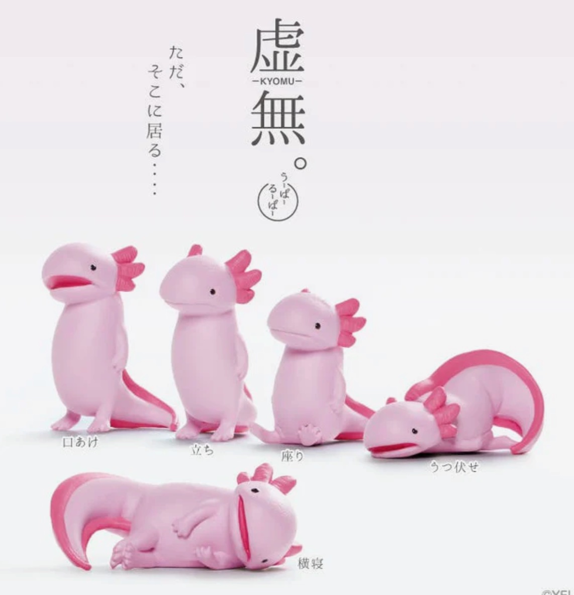 Axolotl — Kyomu Series